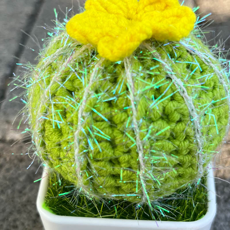 Hand-Knitted Cactus Plant