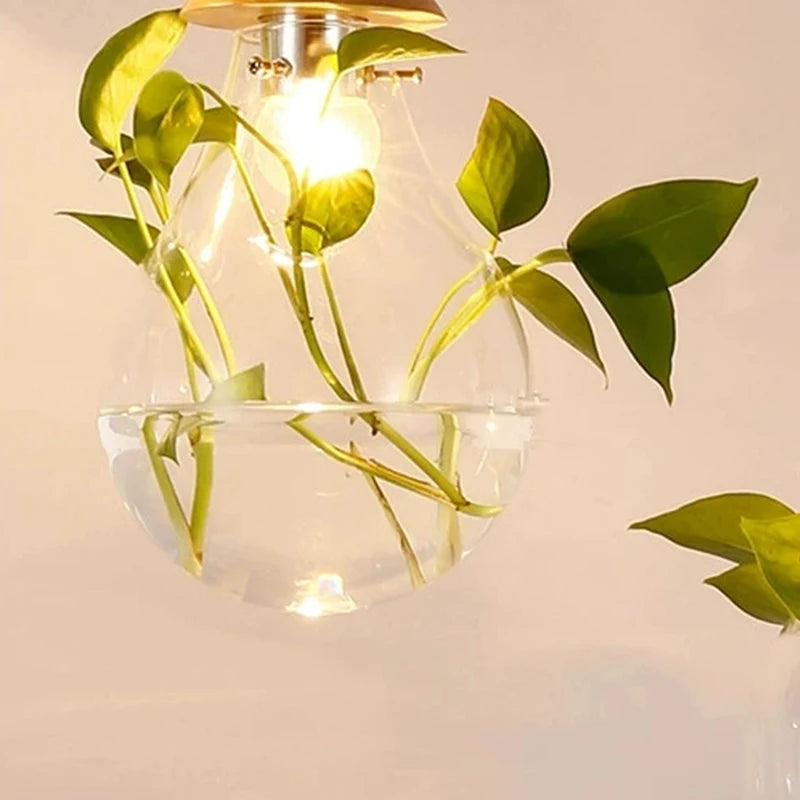 Glass Pendant Plant Light