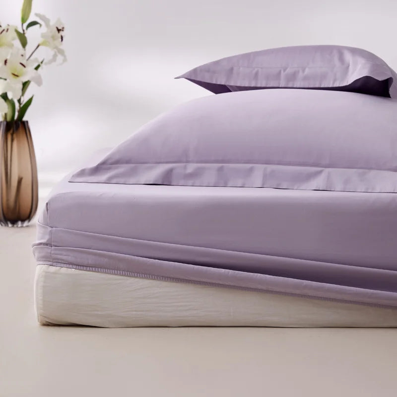VENTRA 800TC Egyptian Cotton Sheet