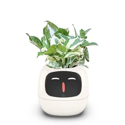 Ivy Smart Pot