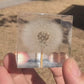 Preserved Flowers Crystal Glass