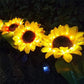 2pcs Solar LED Sunflower Blackbrdstore