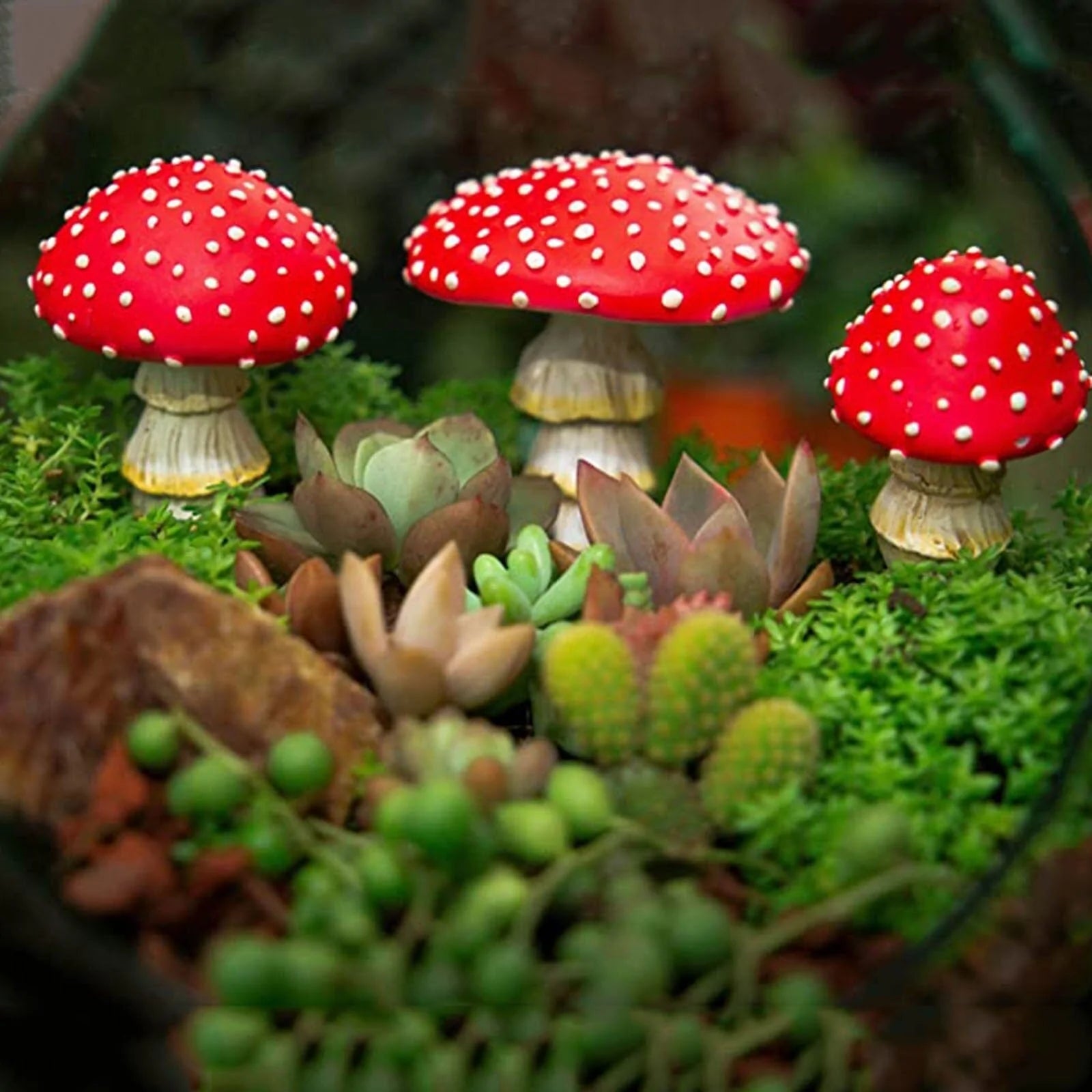 3pcs Fairy Mini Mushroom Solar Lights Blackbrdstore