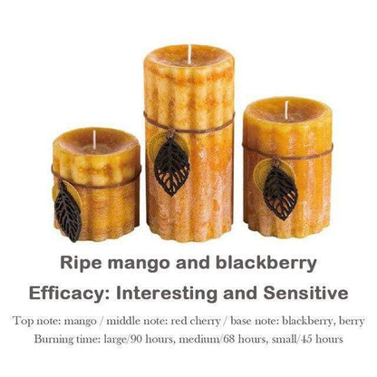3pcs/Set Essential Oil Scented Candle Blackbrdstore
