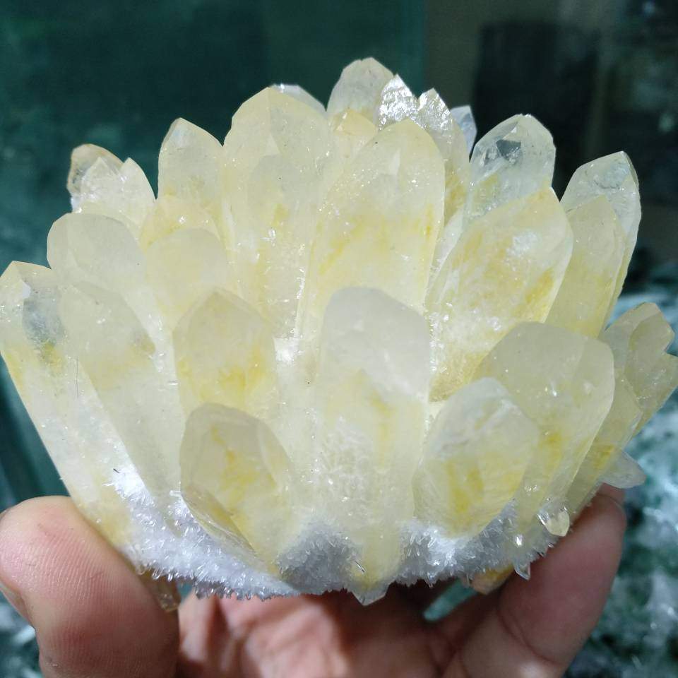 600g Natural Yellow Quartz Crystal Blackbrdstore