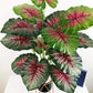 65cm Artificial Tropical Monstera Blackbrdstore