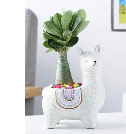 Alpaca Flower Pots Blackbrdstore