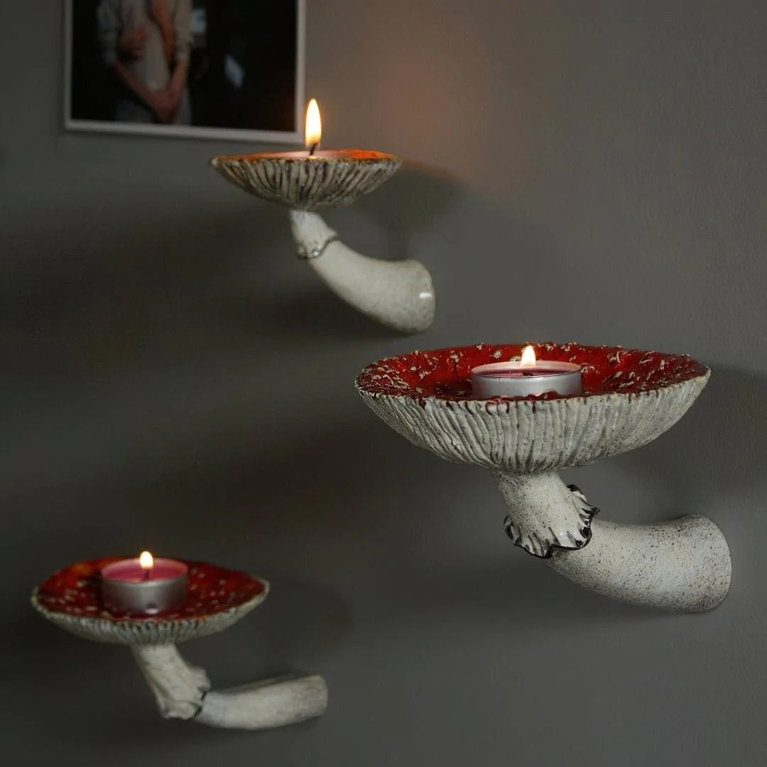 Amanita Mushroom Hanging Shelf Blackbrdstore