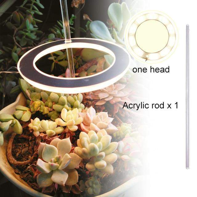 Angel Halo Grow Light Blackbrdstore