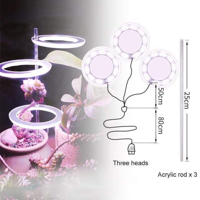 Angel Halo Grow Light Blackbrdstore