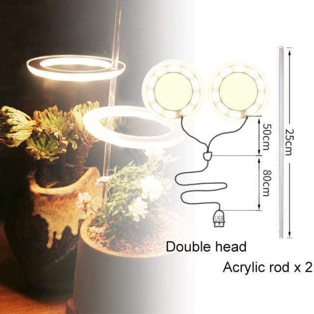 Angel Halo Grow Light Blackbrdstore