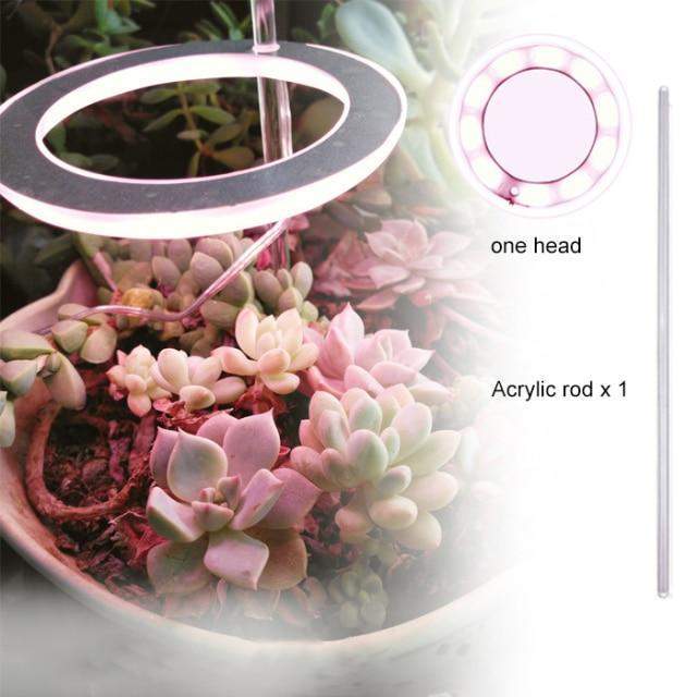 Angel Halo Grow Light Blackbrdstore