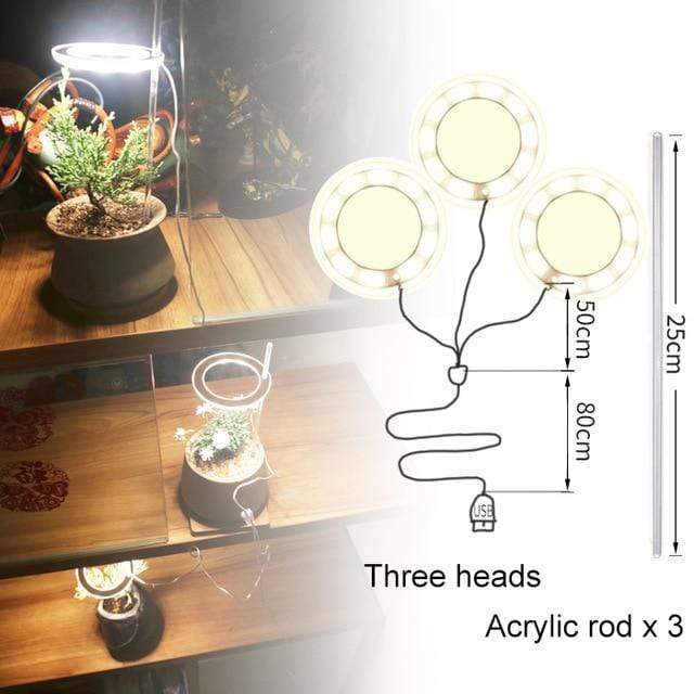 Angel Halo Grow Light Blackbrdstore