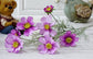 Artificial 8 Heads Chrysanthemum Flower Blackbrdstore