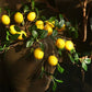 Artificial Lemon Branch Blackbrdstore