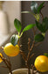 Artificial Lemon Branch Blackbrdstore