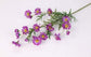 Artificial Silk Daisies Blackbrdstore