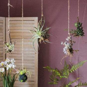 Artificial Tillandsia Air plant Blackbrdstore