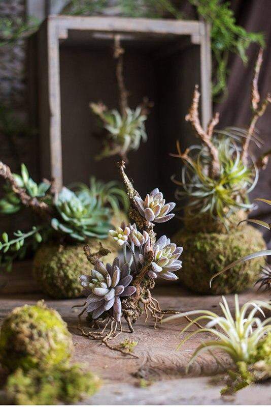 Artificial Tillandsia Air plant Blackbrdstore