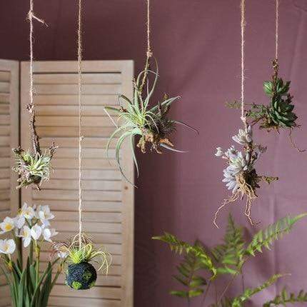 Artificial Tillandsia Air plant Blackbrdstore