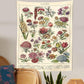 Botanical Chart Tapestry Blackbrdstore