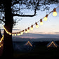 Bulbs String Festoon Lights Blackbrdstore