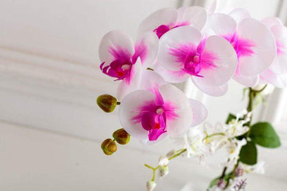 Butterfly Orchid Artificial Flower Blackbrdstore