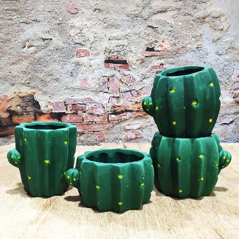 Cactus Garden Planter Blackbrdstore