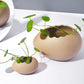 Ceramic Egg Shell Bowl Blackbrdstore