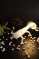 Chameleon Wall Lamp Blackbrdstore