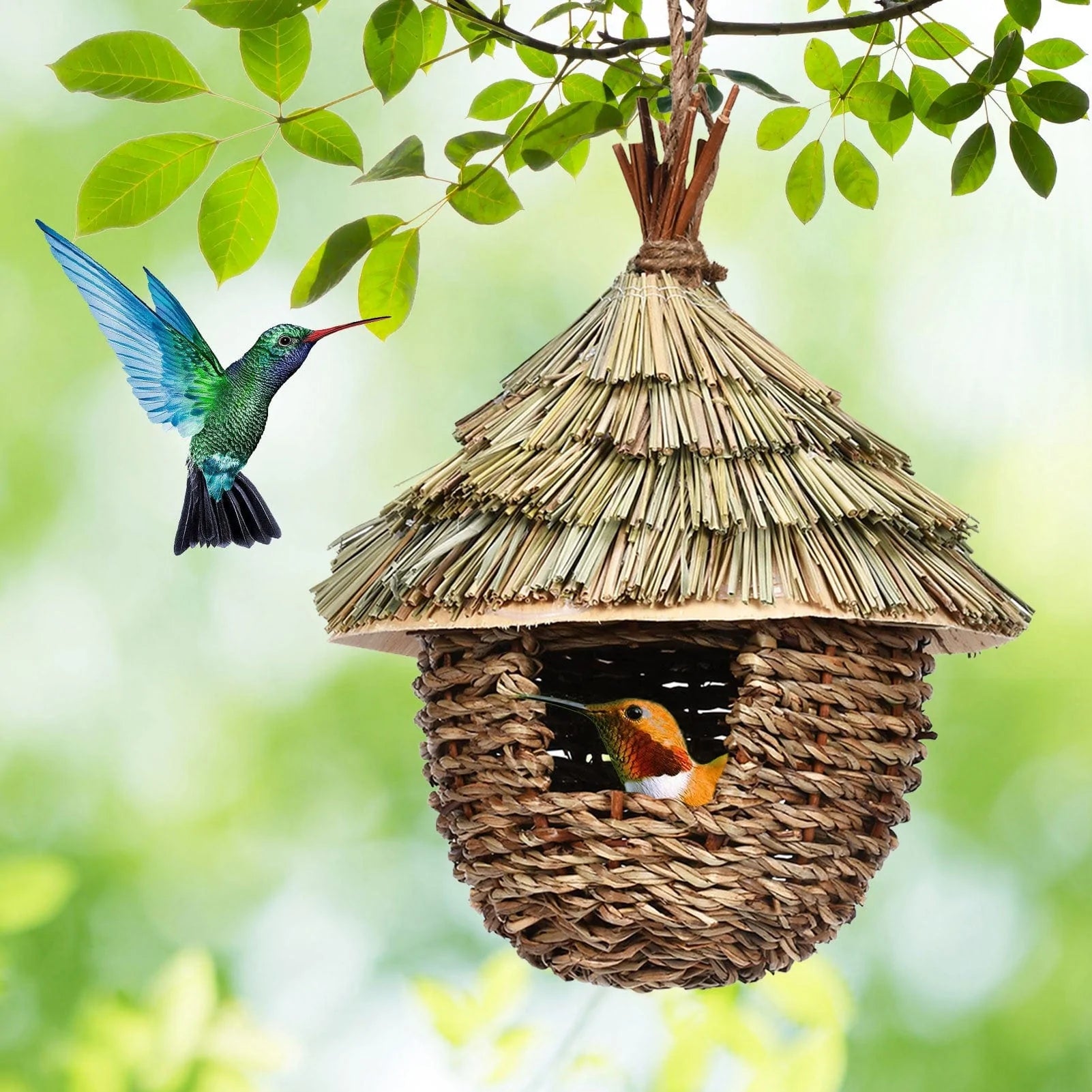 Charming Hummingbird Nest Blackbrdstore