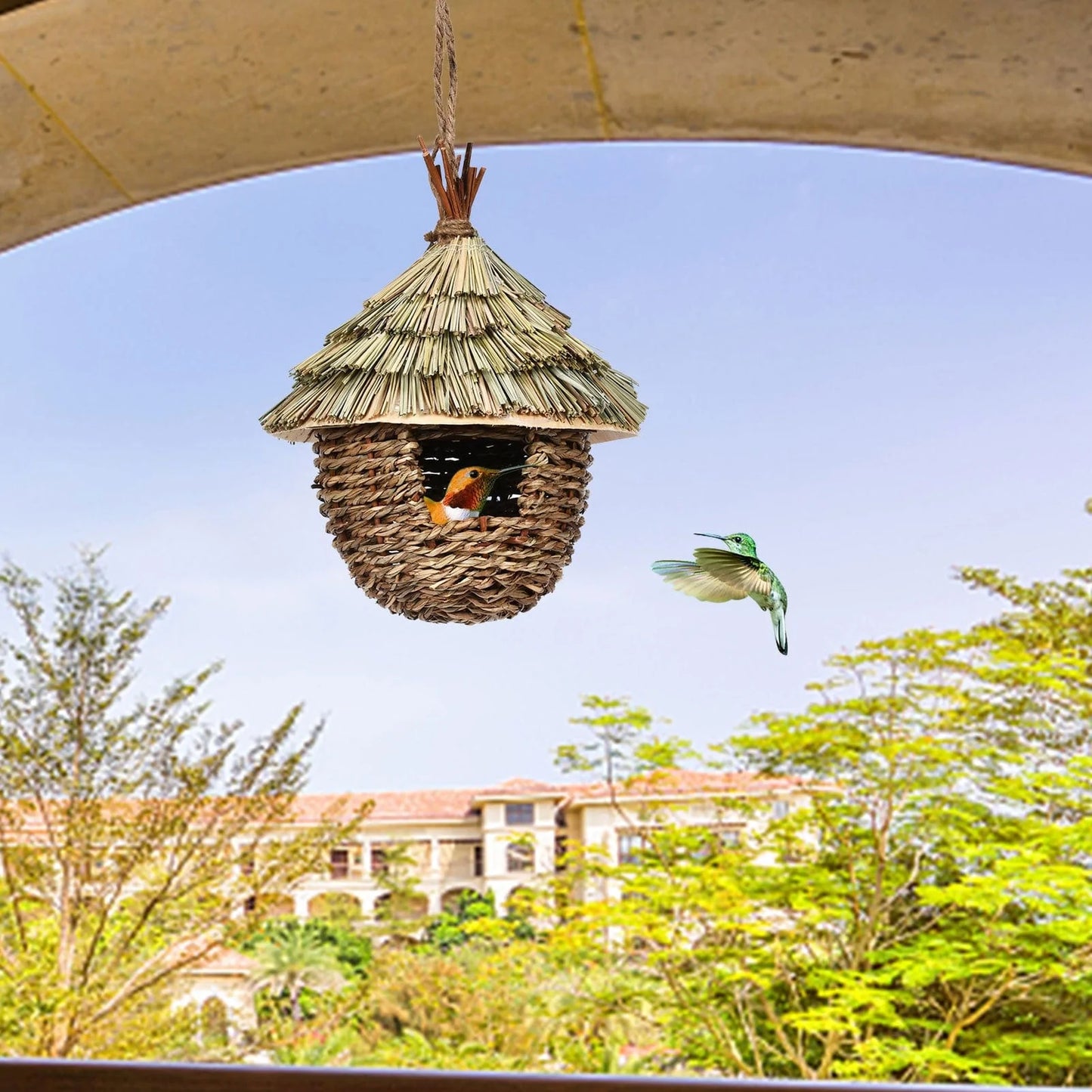 Charming Hummingbird Nest Blackbrdstore