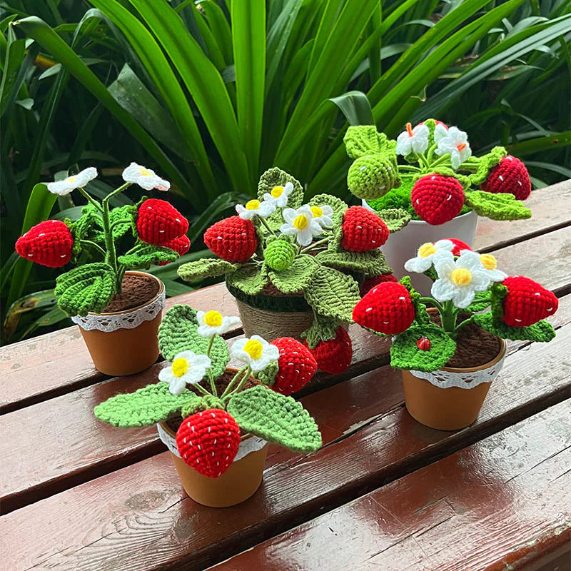 Crochet Mini Strawberry Plant Blackbrdstore