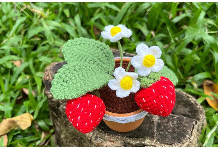 Crochet Mini Strawberry Plant Blackbrdstore