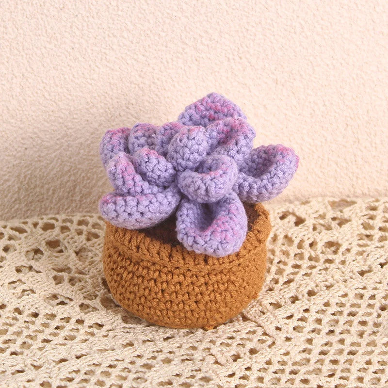 Crochet Potted Succulents Blackbrdstore