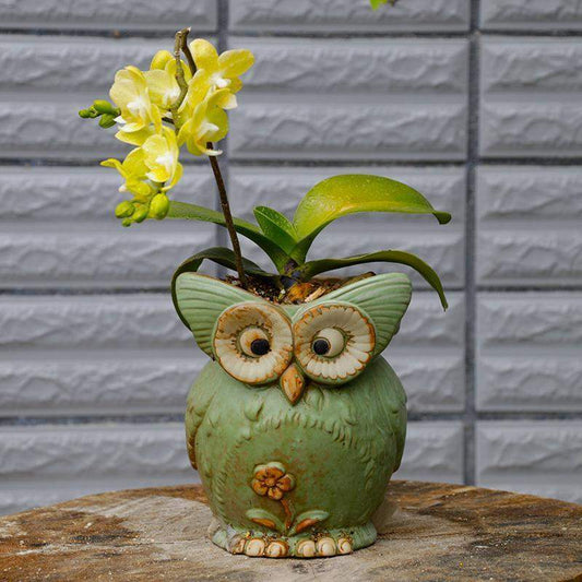 Crookshanks Owl Plant Ceramic Pot Blackbrdstore