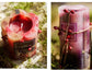 Cylindrical Scented Candles Blackbrdstore
