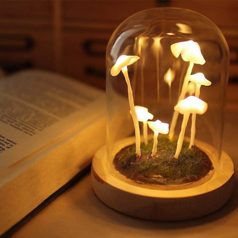 DIY Mushrooms in Forests Light Blackbrdstore