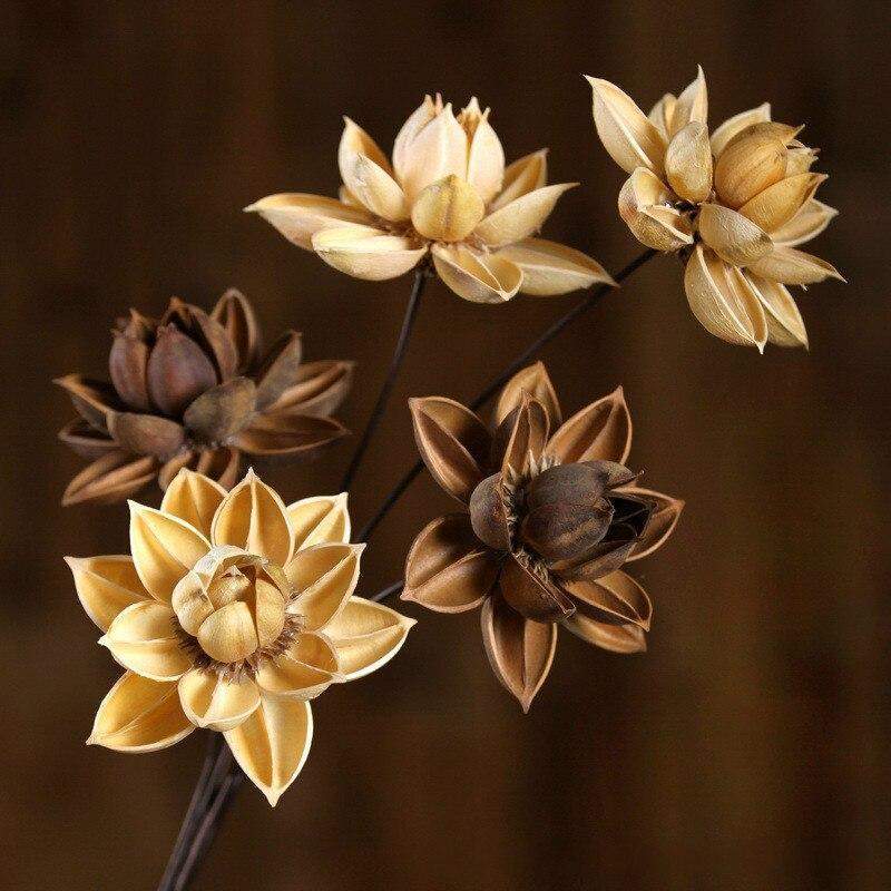 Dried Natural Lotus Flower Blackbrdstore