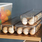 Egg Containers Storage Box Blackbrdstore