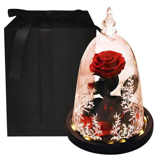 Eternal Rose In Glass Dome with LED Lights Blackbrdstore