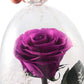 Eternal Rose In Glass Dome with LED Lights Blackbrdstore