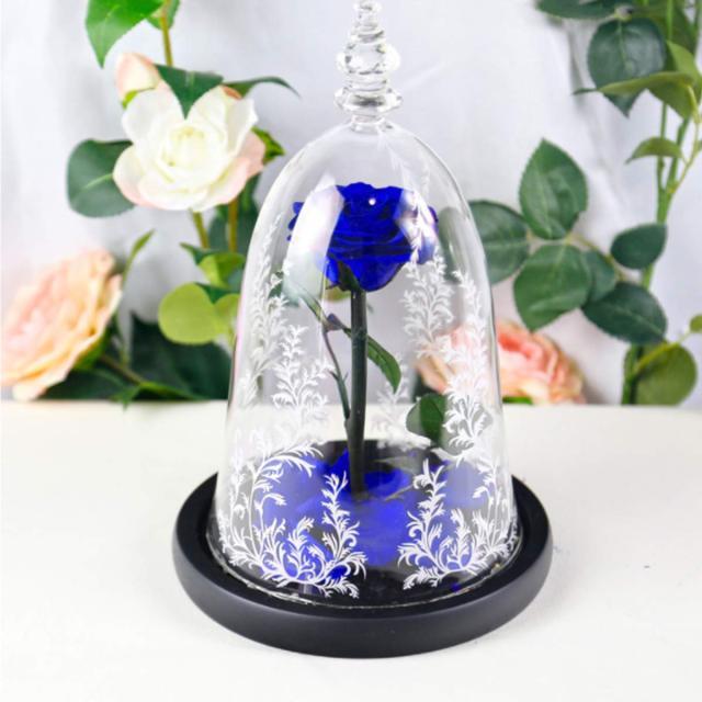 Eternal Rose In Glass Dome with LED Lights Blackbrdstore