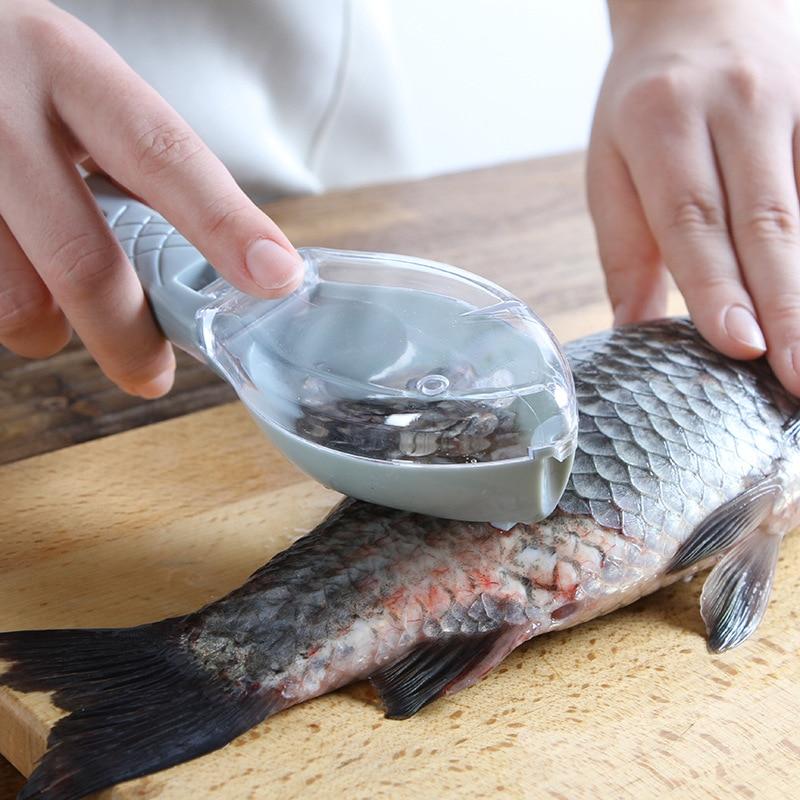 Fish Scraper Blackbrdstore