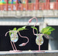 Flamingo Plant Vase Blackbrdstore