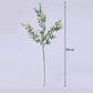 Green Eucalyptus Branch Blackbrdstore