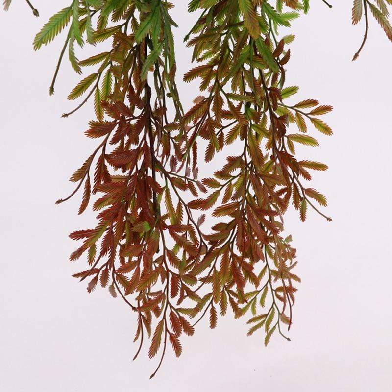 Greenery Ferns Plants Blackbrdstore