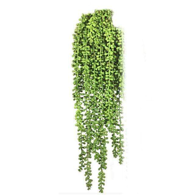 Greenery Ferns Plants Blackbrdstore