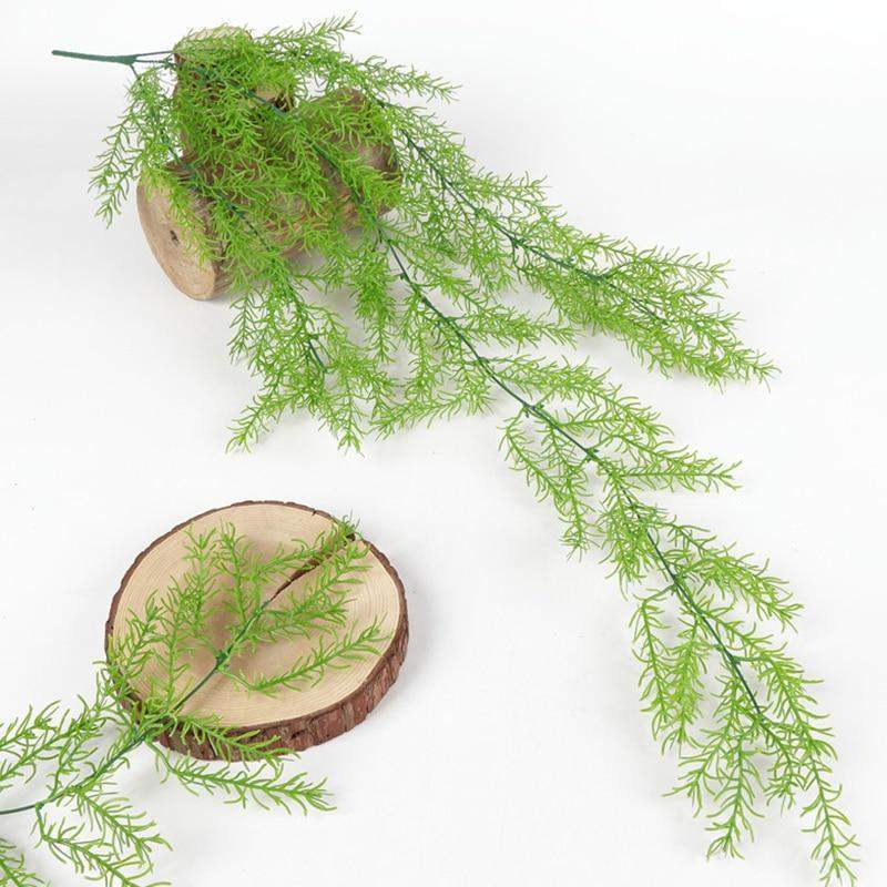 Greenery Ferns Plants Blackbrdstore