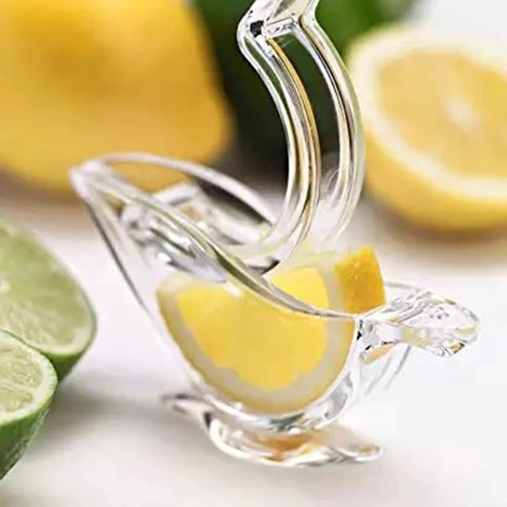 Hand Lemon Squeezer Blackbrdstore